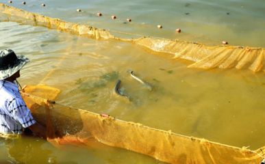 龍魚工業漁場在哪里：“龍魚工業漁場”在哪里？ 龍魚工業漁場在哪里：“龍魚工業漁場”在哪里？ 龍魚百科