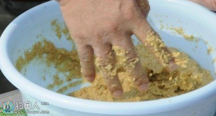 白子銀版魚苗飼料自制方法，白子銀版魚苗飼料品牌推薦，觀賞魚飼料營養成分解析
