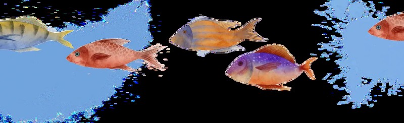 溫州龍魚哪里賣的好吃又便宜 溫州龍魚哪里賣的好吃又便宜 龍魚百科 第16張
