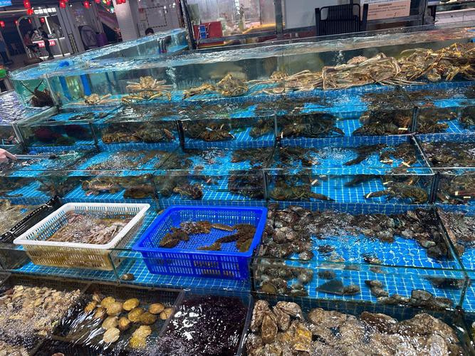 溫州龍魚哪里賣的好吃又便宜 龍魚百科 第7張 溫州龍魚哪里賣的好吃又便宜 溫州龍魚哪里賣的好吃又便宜 龍魚百科 第7張