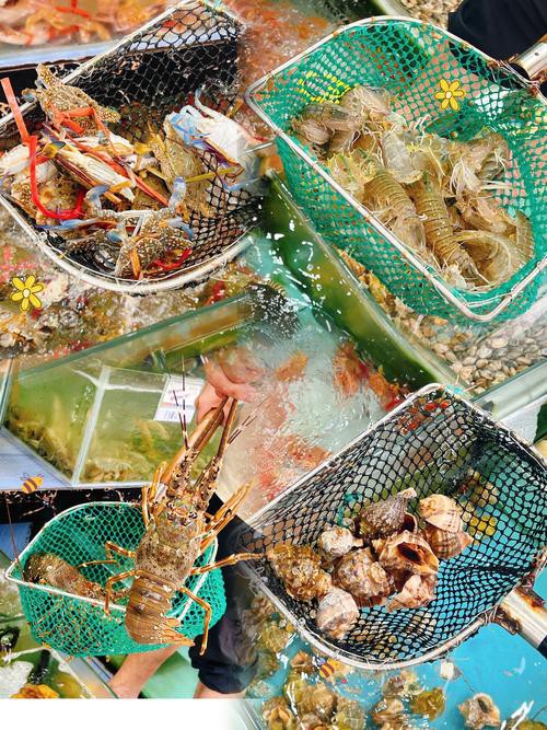 溫州龍魚哪里賣的好吃又便宜 龍魚百科 第8張 溫州龍魚哪里賣的好吃又便宜 溫州龍魚哪里賣的好吃又便宜 龍魚百科 第8張