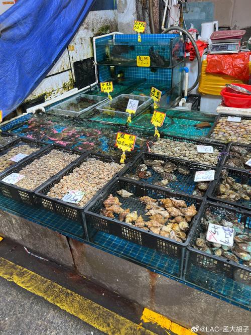 溫州龍魚哪里賣的好吃又便宜 龍魚百科 第6張 溫州龍魚哪里賣的好吃又便宜 溫州龍魚哪里賣的好吃又便宜 龍魚百科 第6張