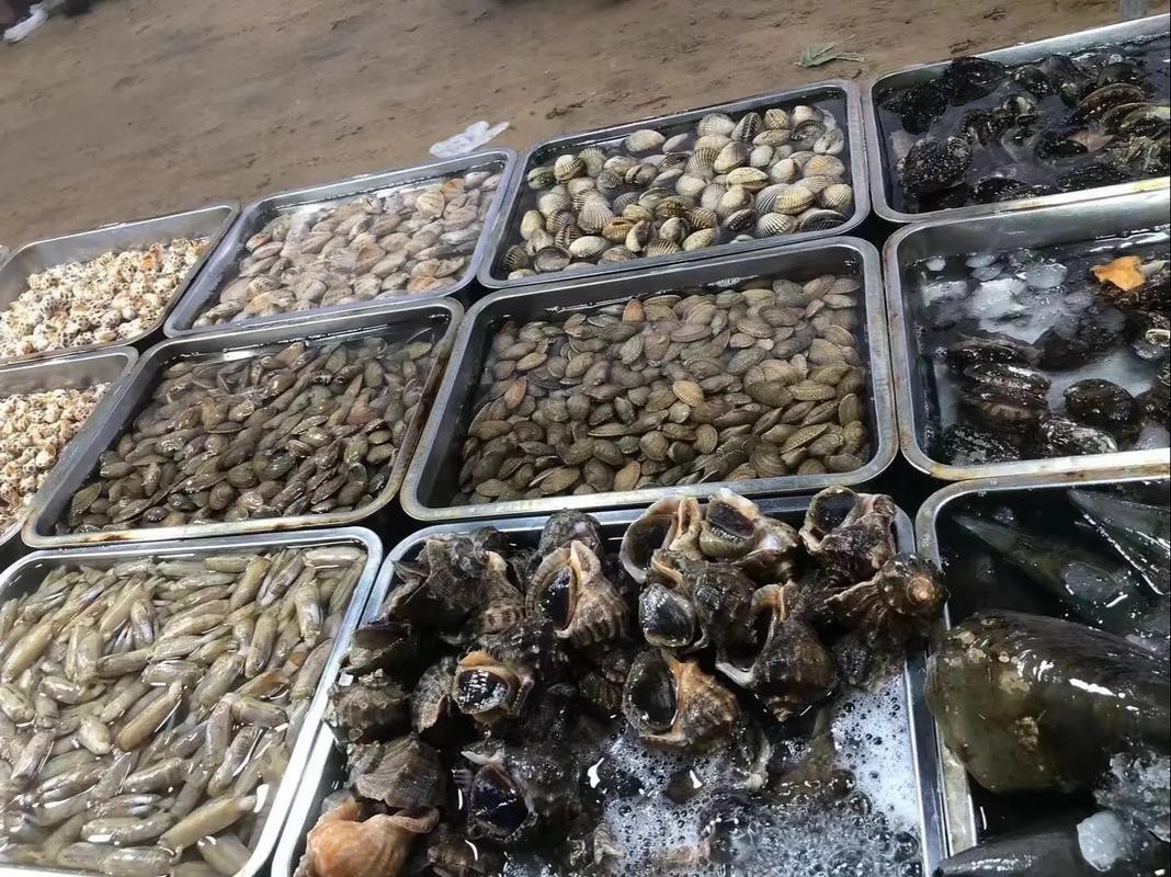 溫州龍魚哪里賣的好吃又便宜 龍魚百科 第4張 溫州龍魚哪里賣的好吃又便宜 溫州龍魚哪里賣的好吃又便宜 龍魚百科 第4張