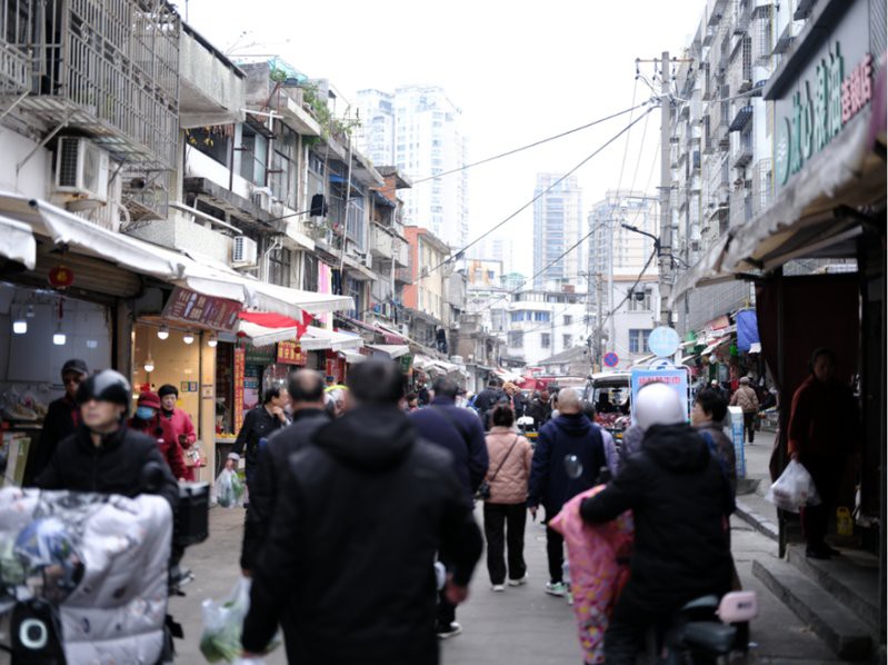 溫州龍魚哪里賣的好吃又便宜 溫州龍魚哪里賣的好吃又便宜 龍魚百科 第14張