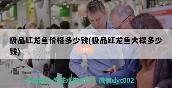 紅龍魚一般多少錢（紅龍魚的價格受多種因素影響）