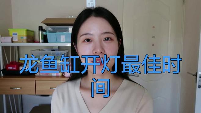 紅龍魚(yú)開(kāi)燈的最佳時(shí)間