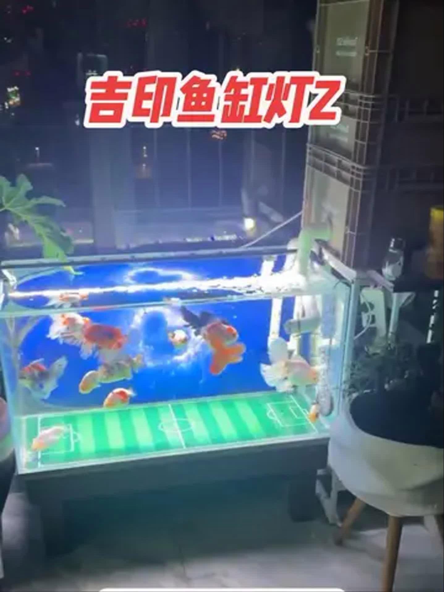 吉印刀鋒Z系列詳細參數