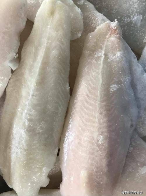 龍利魚長啥樣圖片