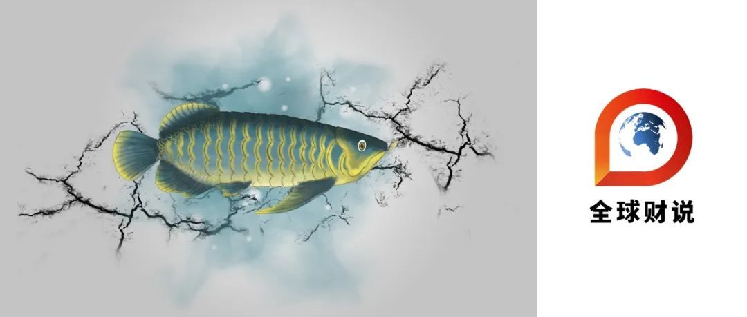 金龍魚 研報（華鑫證券維持對金龍魚的買入評級西部證券維持對金龍魚的增持評級）