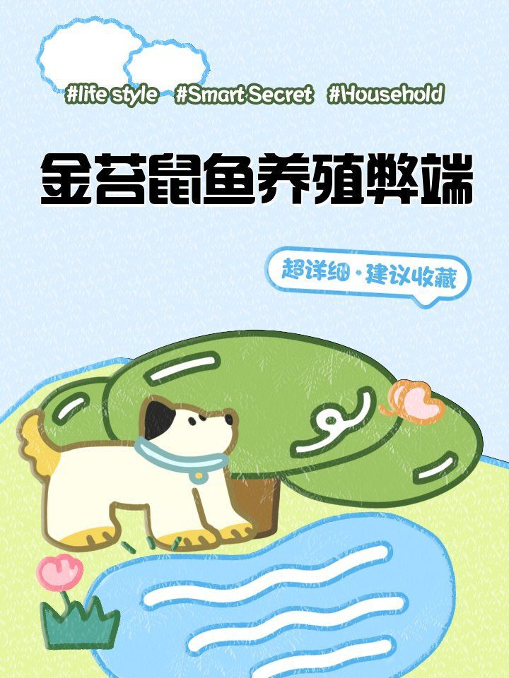 金苔鼠最忌三種魚