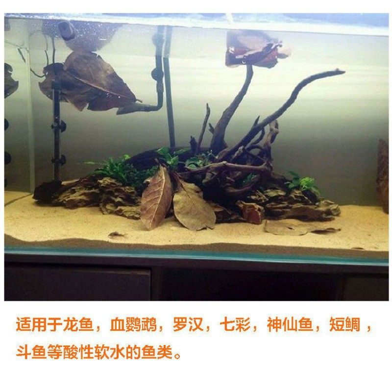 龍魚熱帶魚生物液可以放錦鯉缸里嗎