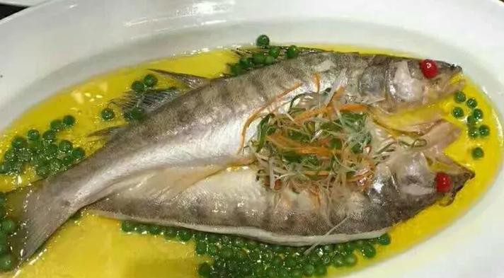 天山龍魚圖片高清大圖大全 龍魚百科 第11張 天山龍魚圖片高清大圖大全 天山龍魚圖片高清大圖大全 龍魚百科 第11張