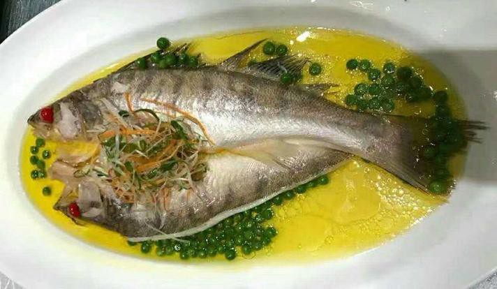 天山龍魚圖片高清大圖大全 龍魚百科 第4張 天山龍魚圖片高清大圖大全 天山龍魚圖片高清大圖大全 龍魚百科 第4張