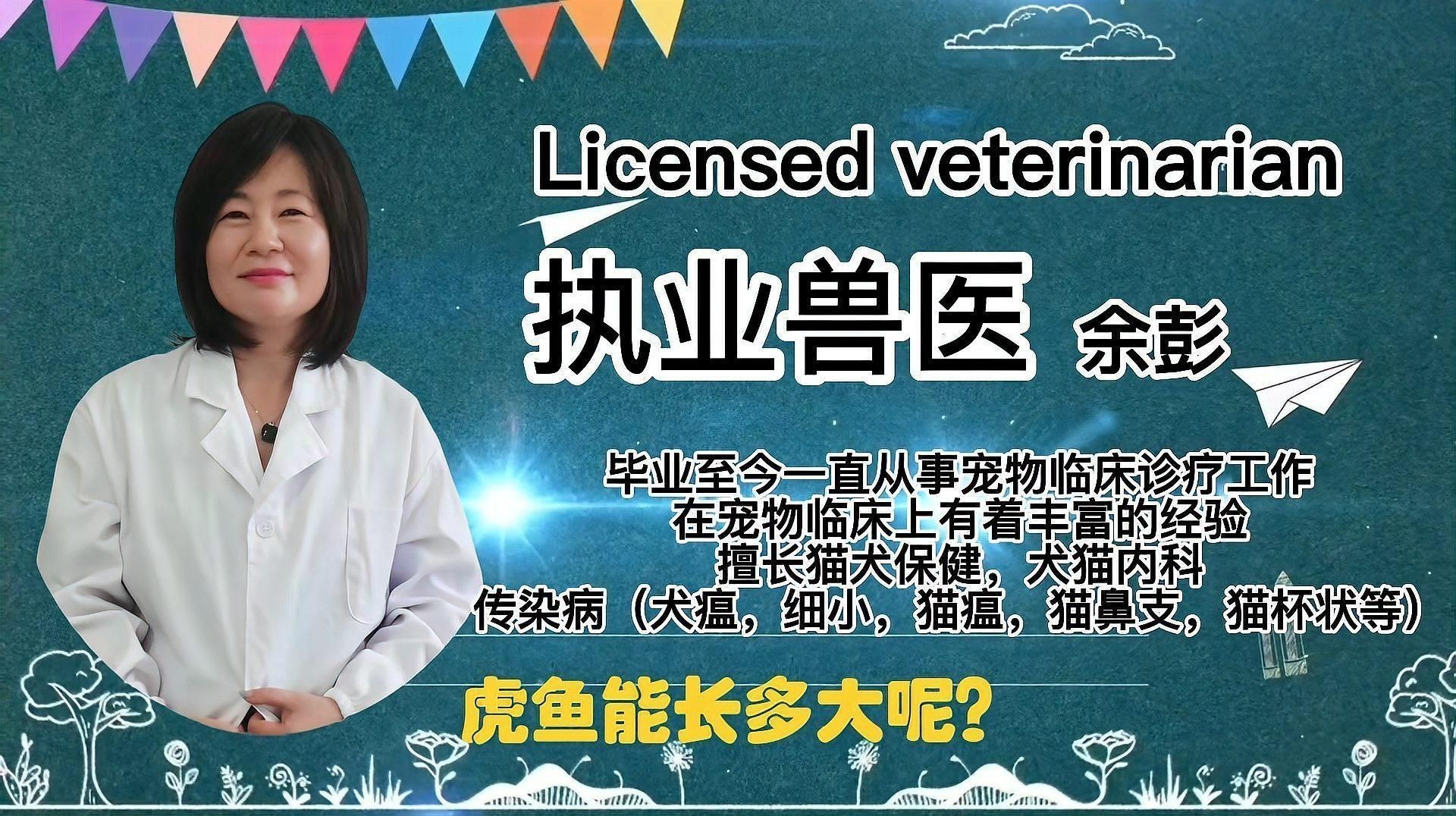 老虎魚可以長多大