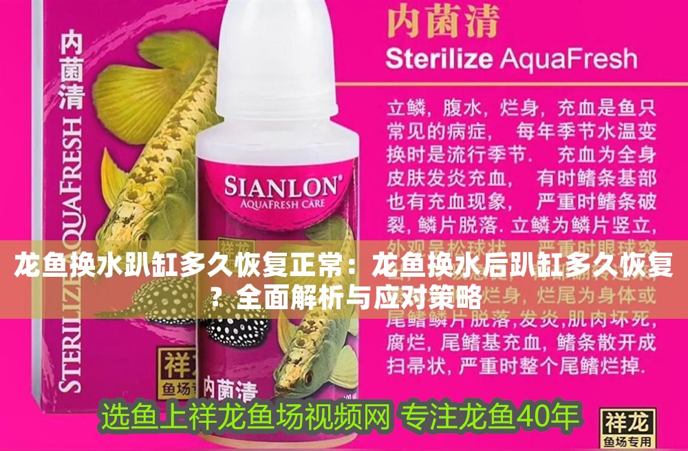 龍魚換水趴缸多久恢復正常：龍魚換水后趴缸多久恢復？全面解析與應對策略 龍魚換水趴缸多久恢復正常：龍魚換水后趴缸多久恢復？全面解析與應對策略 龍魚百科 第1張