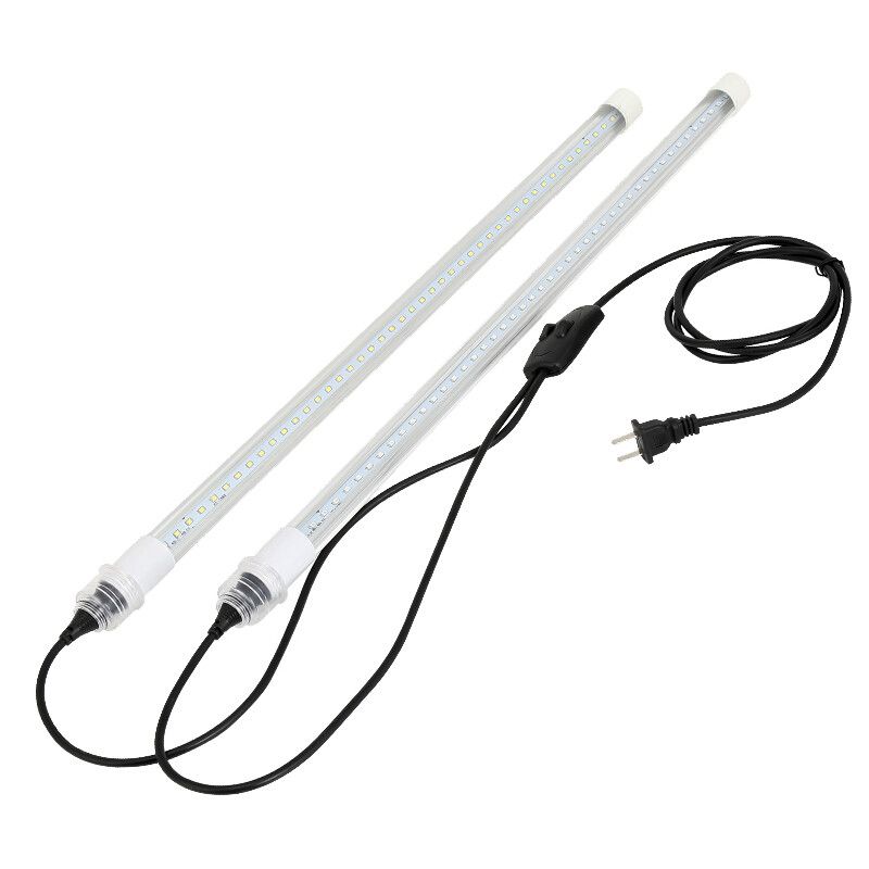 小過背金龍魚視頻：關于小過背金龍魚的視頻 小過背金龍魚視頻：關于小過背金龍魚的視頻 龍魚百科 第1張