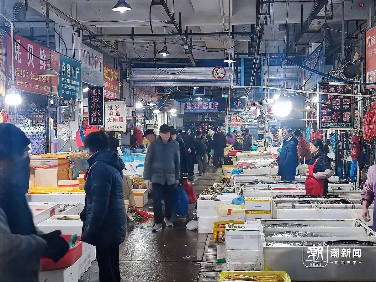 紅龍和澳龍哪個更貴？