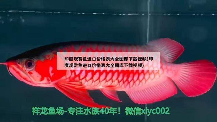 紅頭利魚適宜水溫范圍，