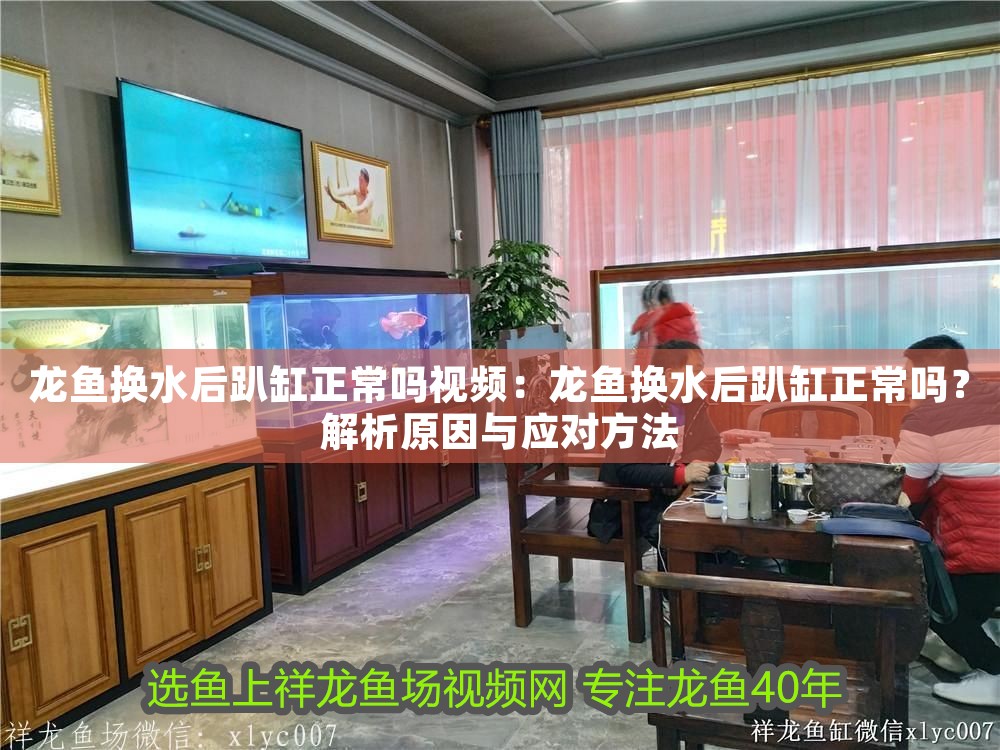 龍魚換水后趴缸正常嗎視頻：龍魚換水后趴缸正常嗎？解析原因與應對方法