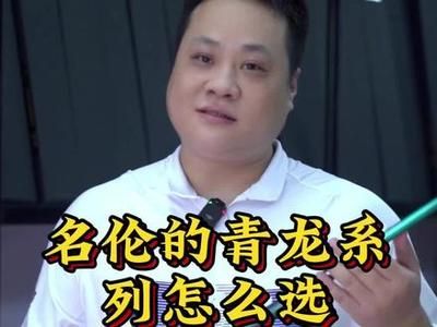 名倫青龍魚大物（名倫青龍大物竿用戶真實體驗名倫青龍大物竿用戶真實體驗）