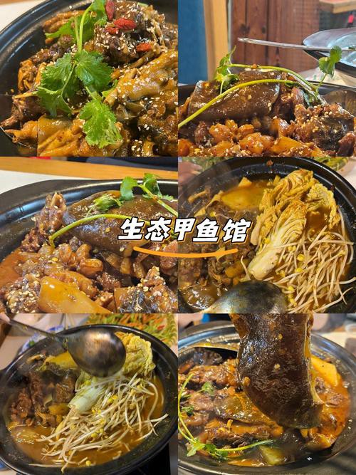 太原龍魚哪家好吃