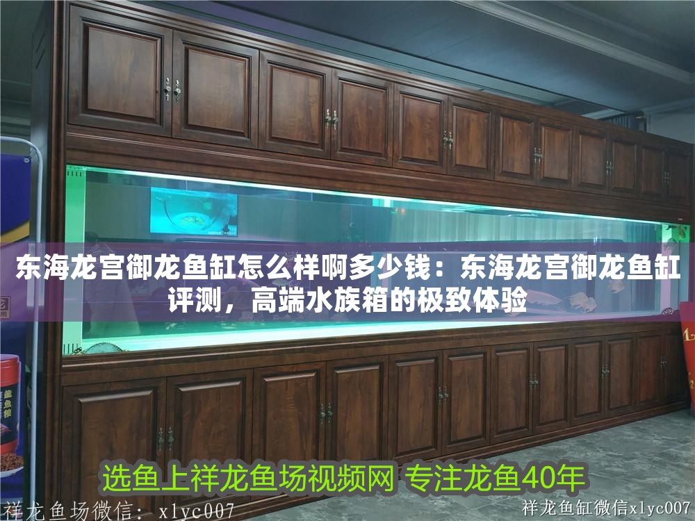 東海龍宮御龍魚缸怎么樣啊多少錢：東海龍宮御龍魚缸評測，高端水族箱的極致體驗