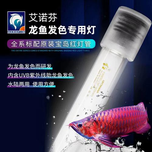 紅龍魚用什么顏色的燈好呢圖片