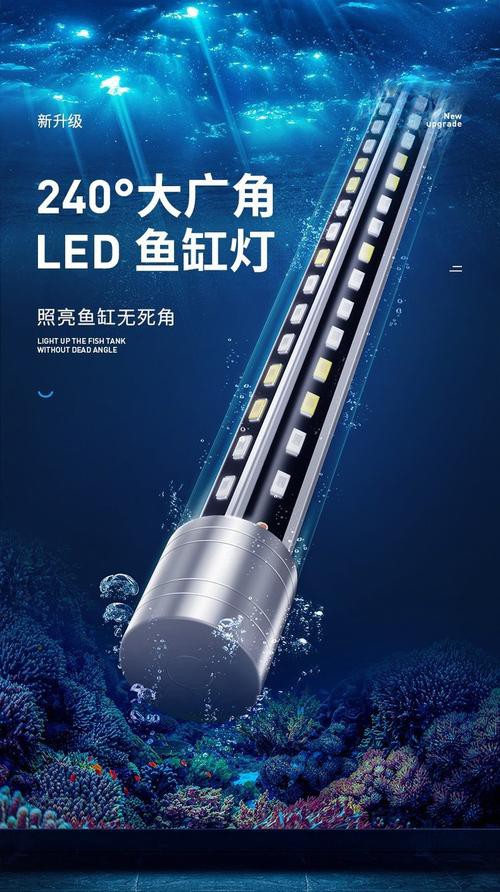 紅龍魚用什么顏色的燈好呢圖片