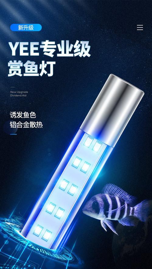 紅龍魚用什么顏色的燈好呢圖片