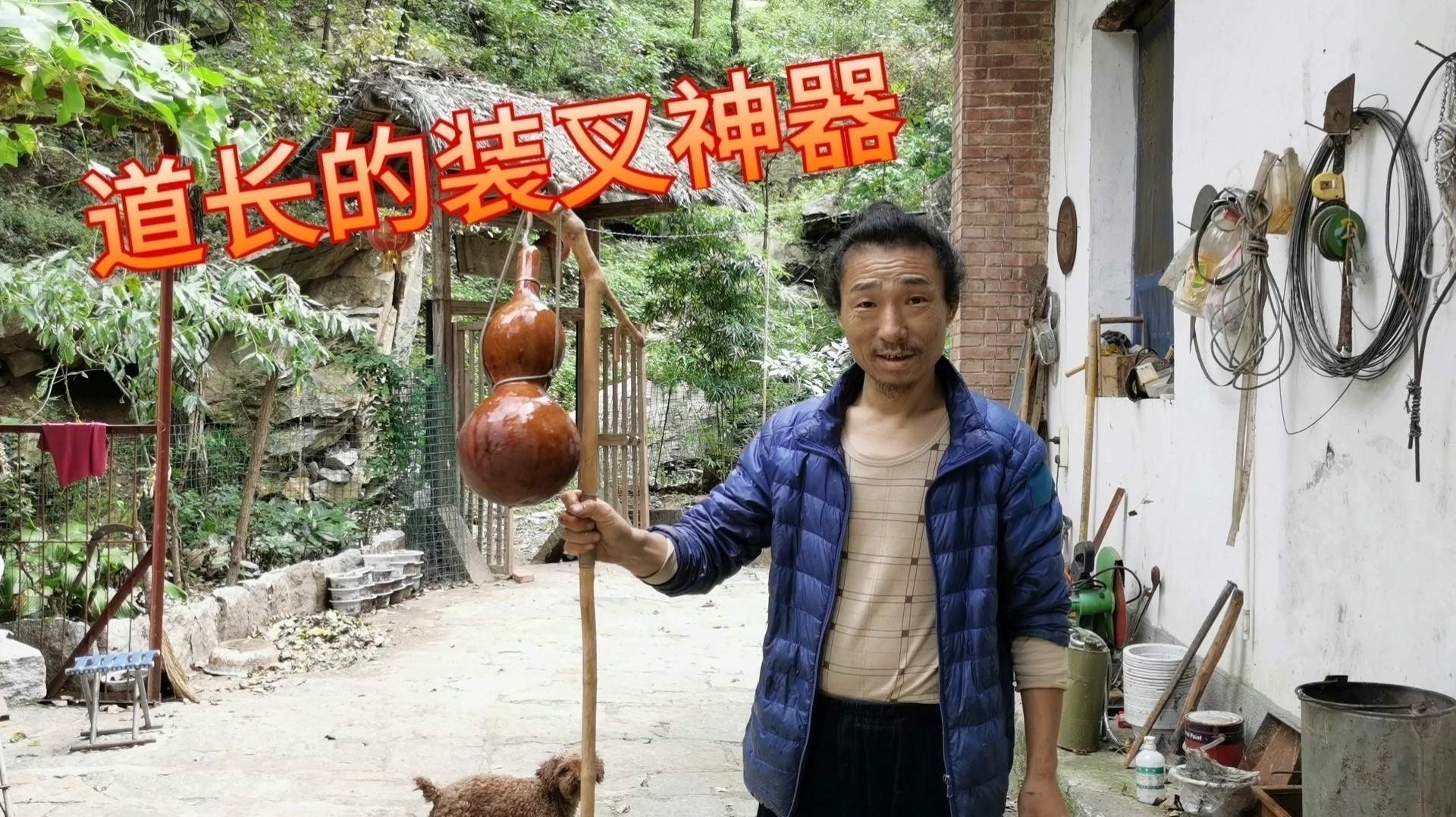 有哪些著名的龍頭拐杖品牌？ 有哪些著名的龍頭拐杖品牌？ 龍魚百科 第16張