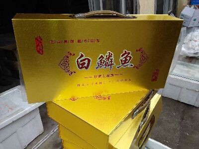 臨沂哪里有賣龍魚的市場啊視頻