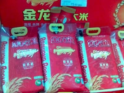 金龍魚品相怎么看真假：如何識別金龍魚的品相及如何區分真偽鱗片排數、珠鱗表現