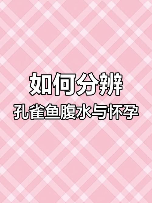 魚懷孕和腹水圖區別圖