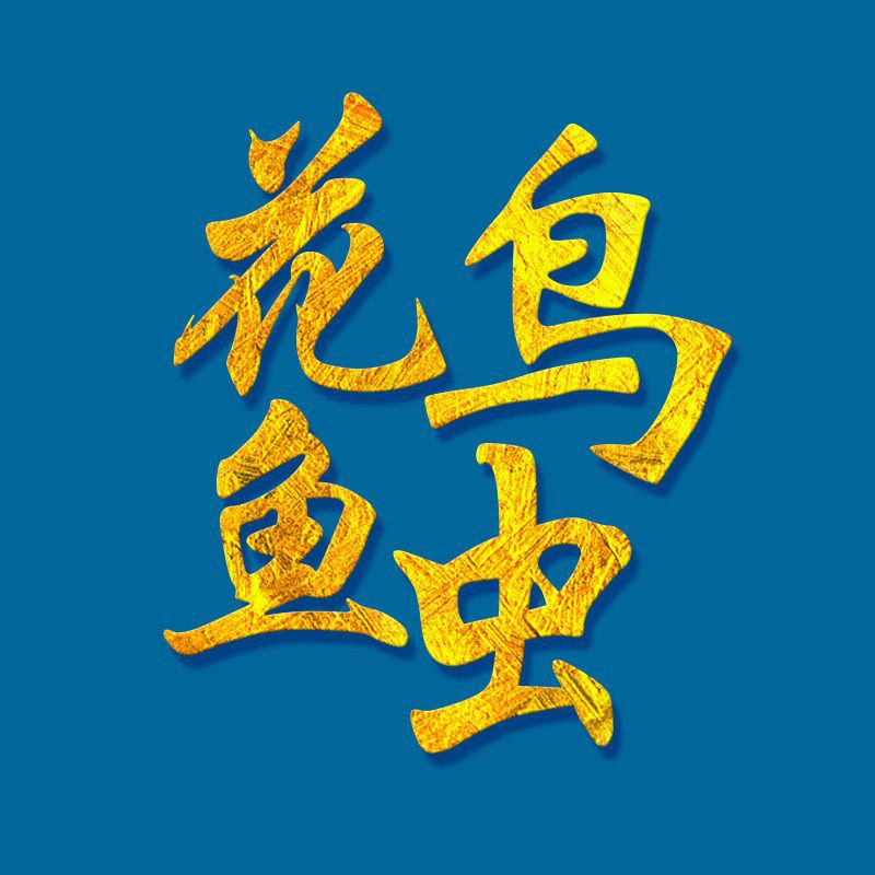 龍魚魚鱗下的寄生蟲