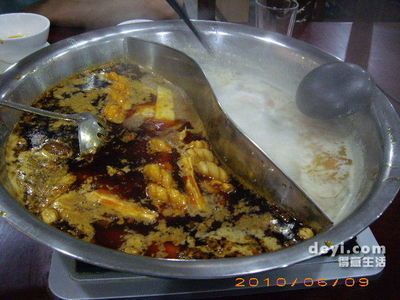 過江龍魚是什么魚類的魚（挑選過江龍魚時應注意以下幾點過江龍魚是什么魚）