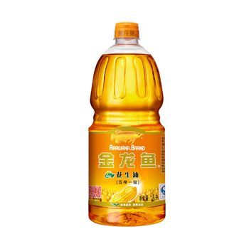 龍魚魚缸尺寸多大最好用：養龍魚的養殖注意事項龍魚的養殖注意事項龍魚的養殖注意事項