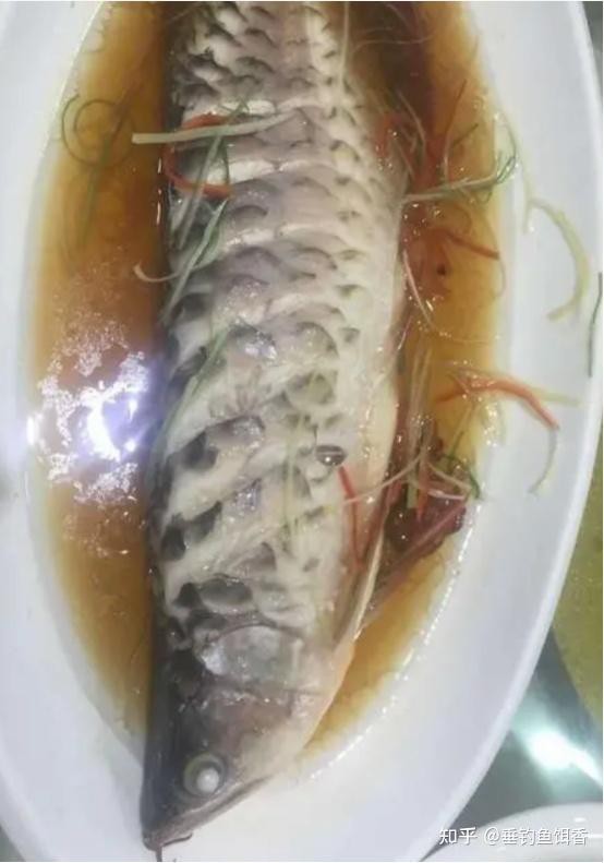 紅色銀龍魚圖片高清