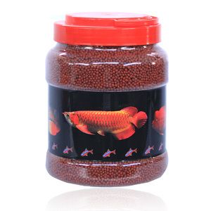 紅龍魚缸能放鹽嗎怎么放：紅龍魚缸可以放鹽嗎 紅龍魚缸能放鹽嗎怎么放：紅龍魚缸可以放鹽嗎 龍魚百科 第2張