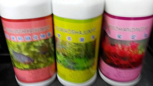 金龍魚30度水溫行嗎（金龍魚水溫多少度最好）