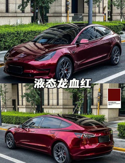紫焰血紅龍的市場供需如何？