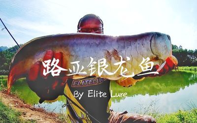 銀龍魚死了有什么預兆嗎圖片（銀龍魚在死亡前通常會有一些明顯的預兆）