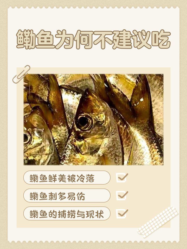 鰳魚為何被禁吃
