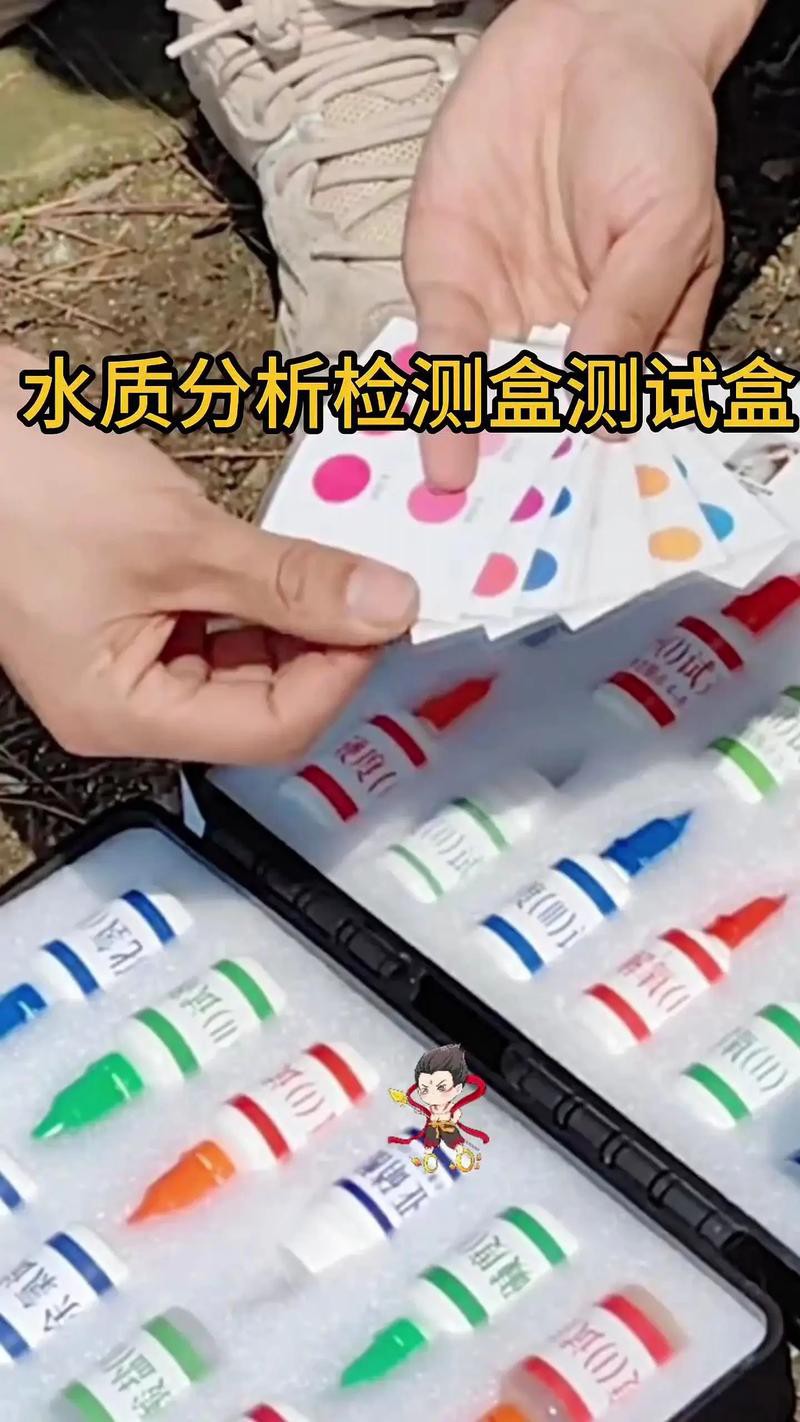 紅龍魚怎么養及喂養技巧圖片視頻