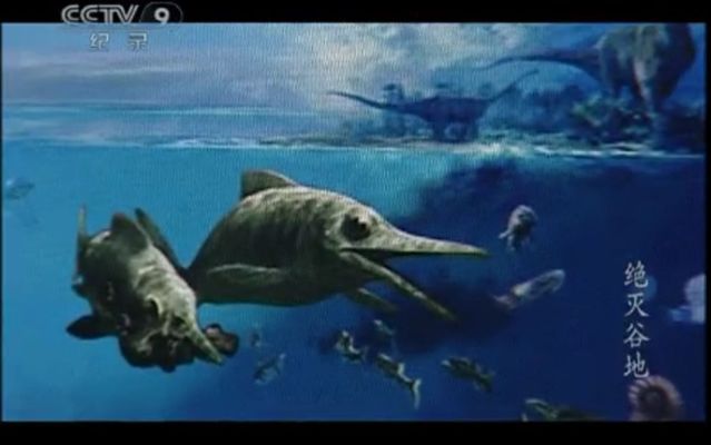 關(guān)于龍魚的紀(jì)錄片有哪些：關(guān)于龍魚的紀(jì)錄片