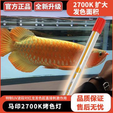 紅龍魚(yú)缸能放鹽嗎（關(guān)于紅龍魚(yú)缸放鹽的問(wèn)題）