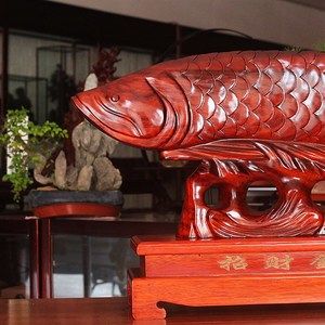 龍魚擺件魚口對著門口的風水說法（風水學說目前并沒有被科學完全證實其科學性，僅供參考） 龍魚擺件魚口對著門口的風水說法（風水學說目前并沒有被科學完全證實其科學性，僅供參考） 龍魚百科 第5張