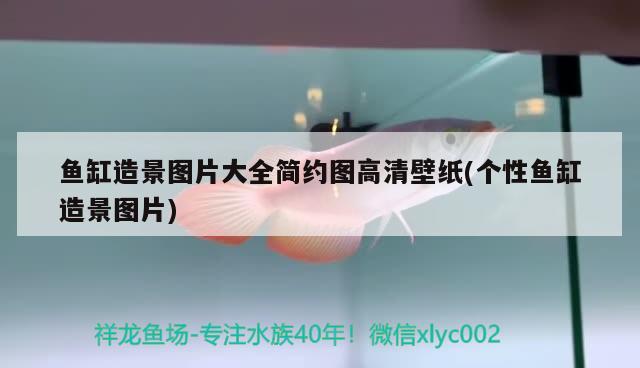 魚缸造景圖片大全簡約圖高清壁紙(個性魚缸造景圖片)
