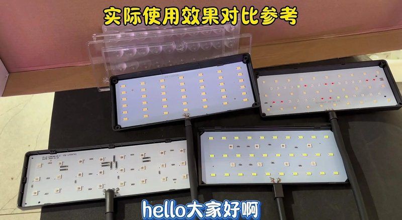 藍帆眼斑需要什么燈