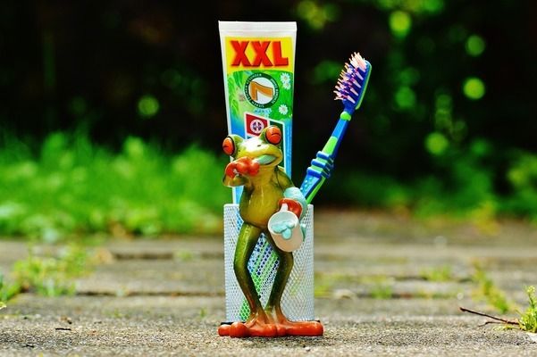 龍魚哪個品種最好繁殖：關(guān)于“龍魚哪個品種最好繁殖”的查詢