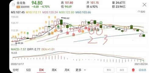 金龍魚百度貼吧最新消息：金龍魚百度貼吧最新消息匯總